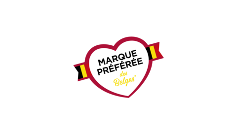 MPF CONSEIL